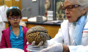 Día Internacional de la Mujer y la Niña en la Ciencia: Marian Diamond y el secreto para combatir el envejecimiento cerebral